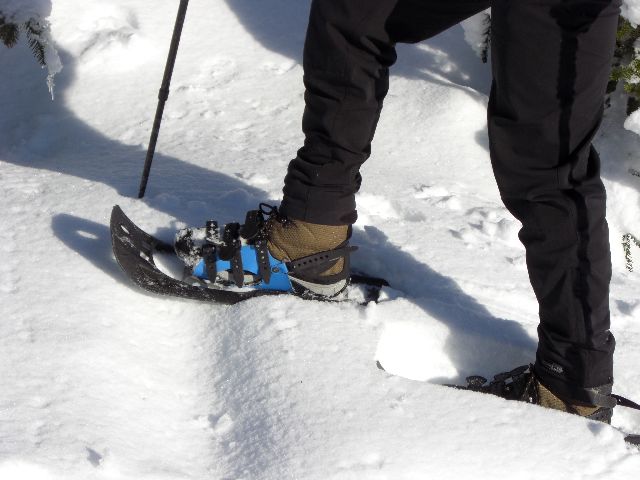 Kamik Boots with Snow Shoes